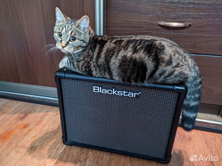 Blackstar ID:core20 V3