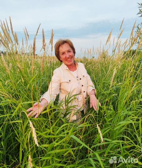 Экскурсии по Петрозаводску с Еленой
