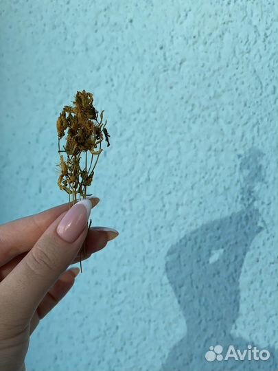 Свечи восковые медовые