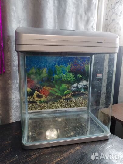 Аквариум
