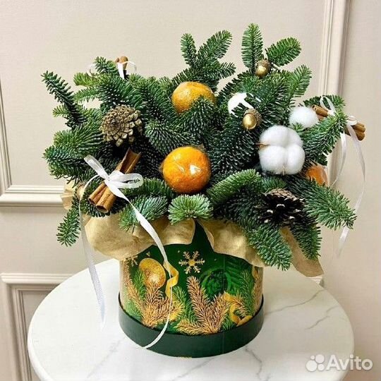 Композиции с Нобилисом