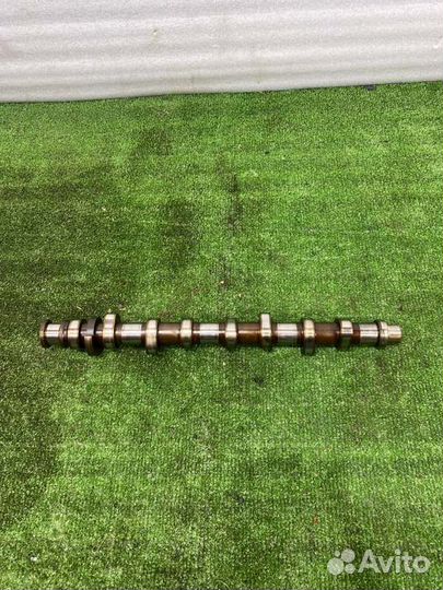 Распредвал Volkswagen Golf хетчбэк 1.6 102 Л.С