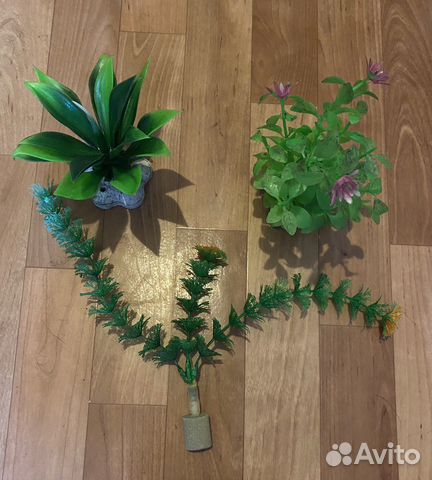 Аквариумные растения искусственные