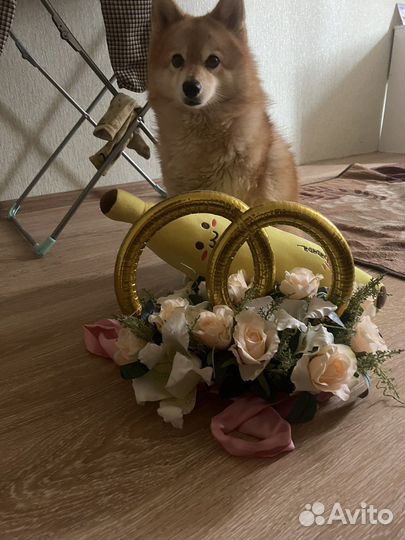 Свадевные кольца на машину украшение