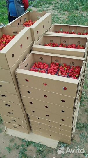 Тара картонная