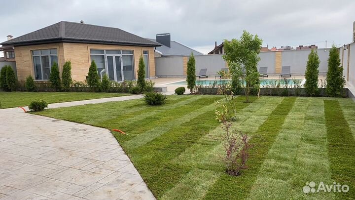 Рулонный газон