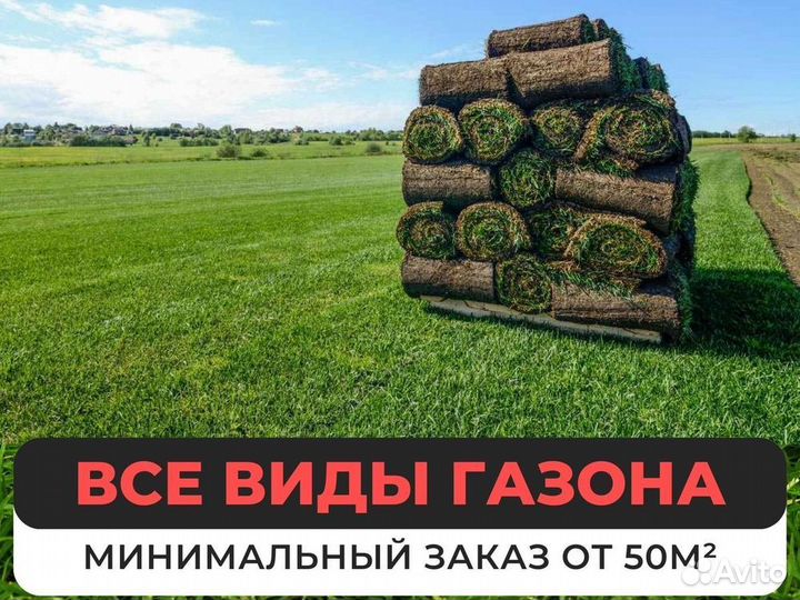 Продажа рулонного газона под ключ