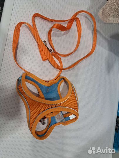 Шлейка для собаки