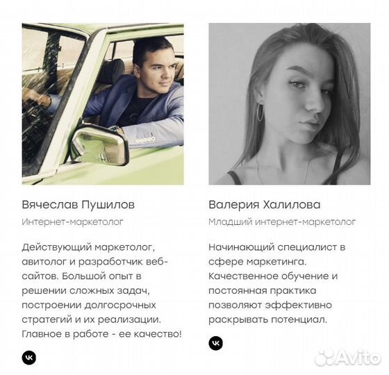 Авитолог