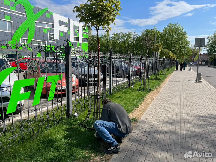 Коркасы для деревьев