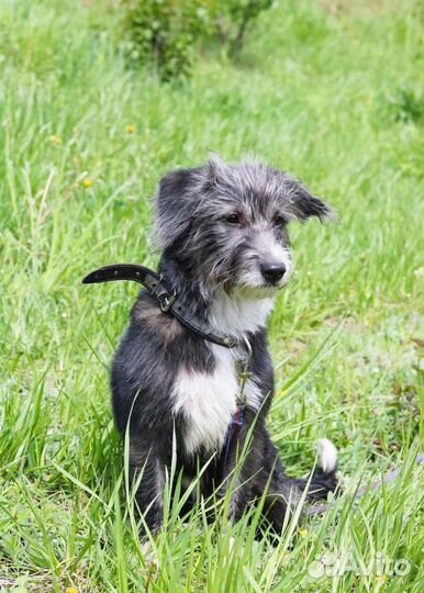 Манечка в семью