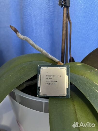 Процессор i5 7500