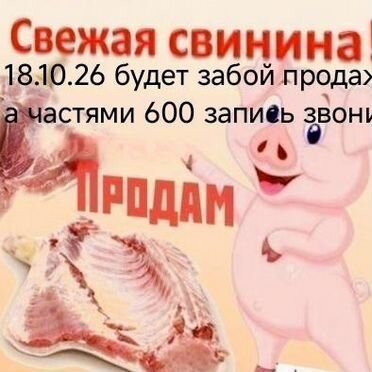 Мясо свинина домашняя