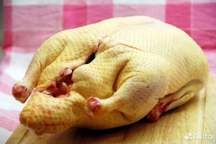 Мясо ундоутки