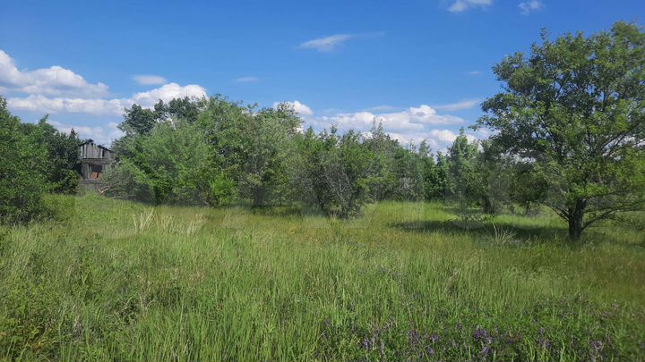 Участок 8 сот. (СНТ, ДНП)