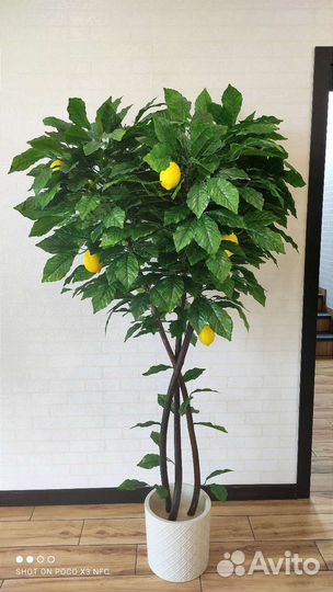 Искусственные деревья, пальмы для декора