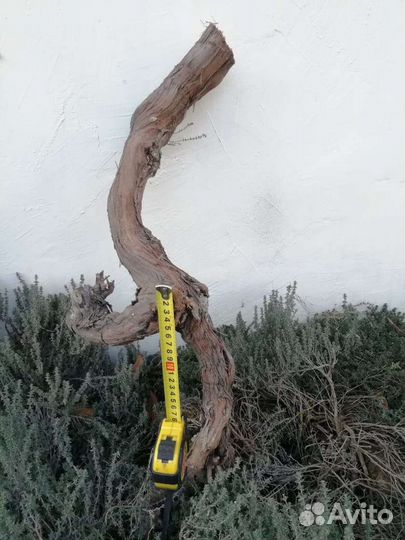 Виноградная лоза, коряги, дрифтвуд