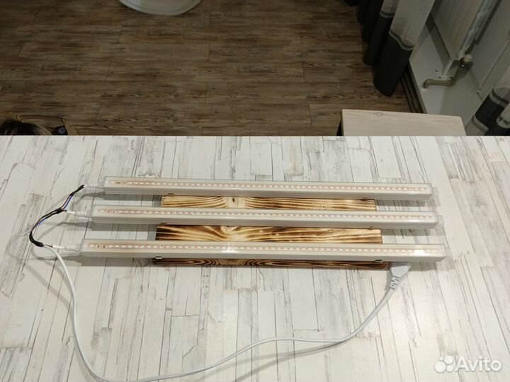 Фитолампы для рассады