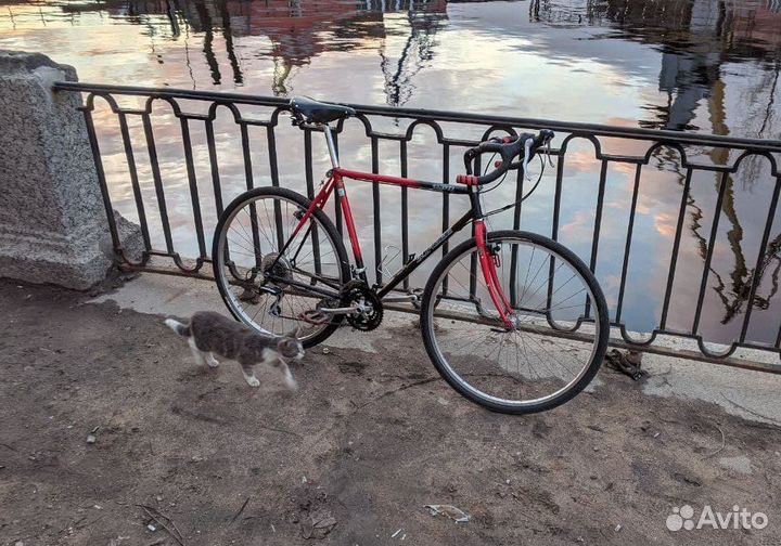 Швейцарский туринг грэвел Sursee Camper 57*57