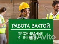 Сборщик на аптечный склад/С проживанием/Питанием