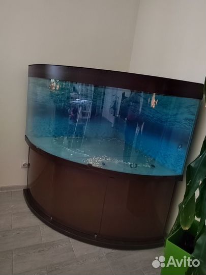 Аквариум с тумбой