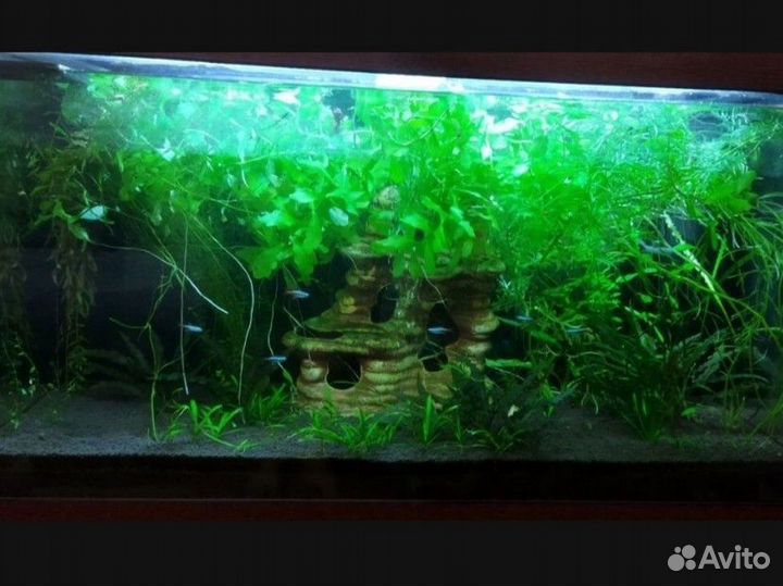 Аквариум 170 литров