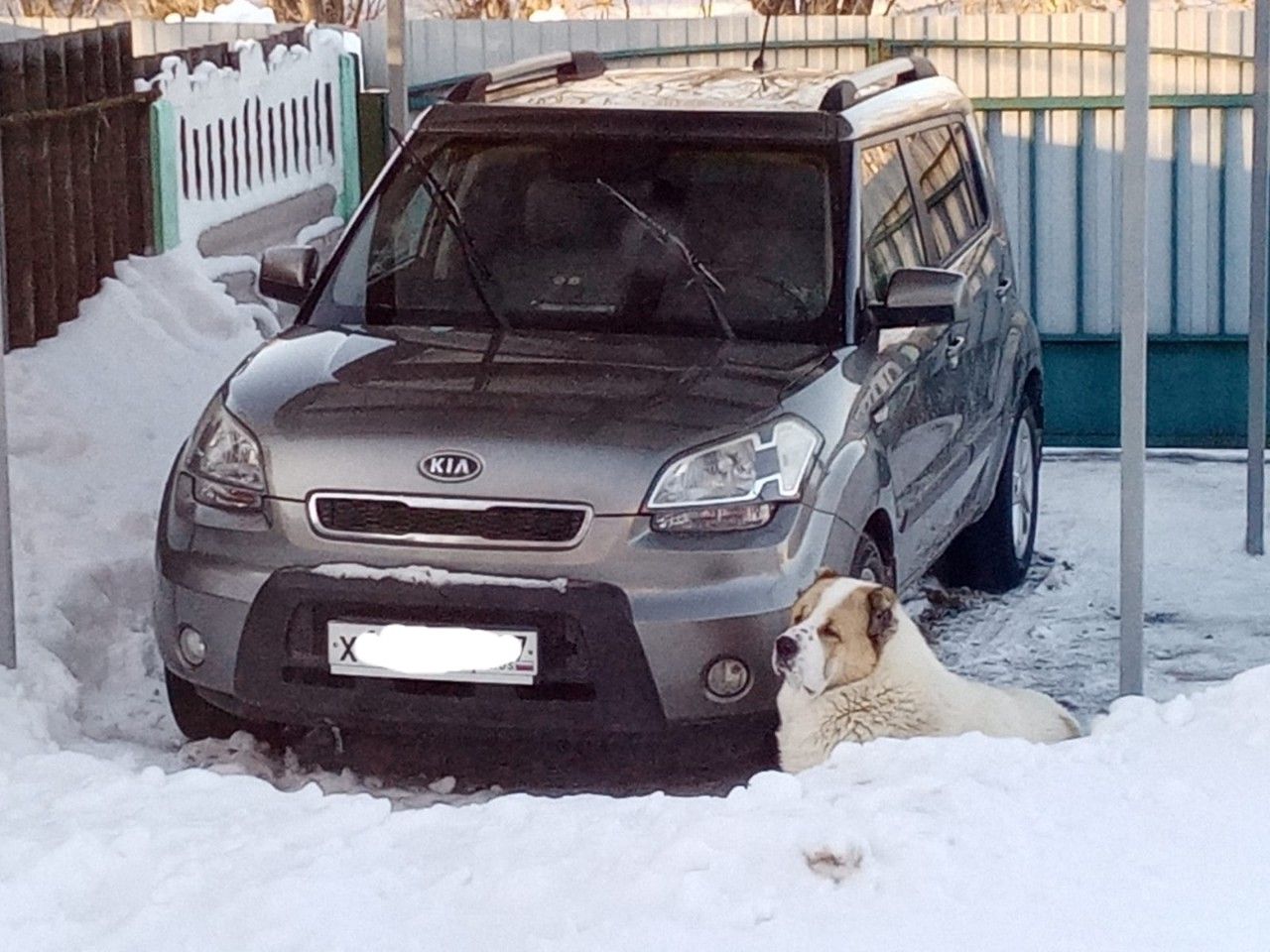 Kia Soul: фото владельца