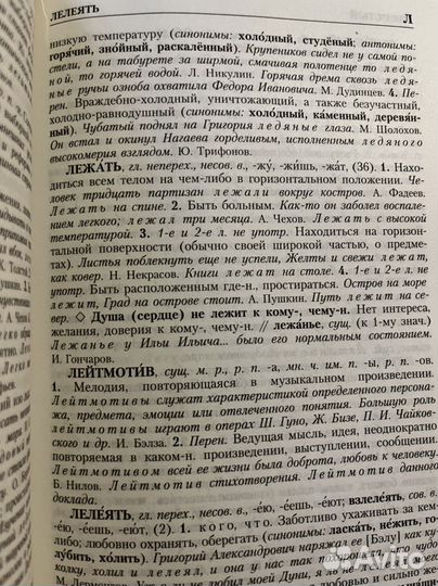 Школьный словарь русского языка