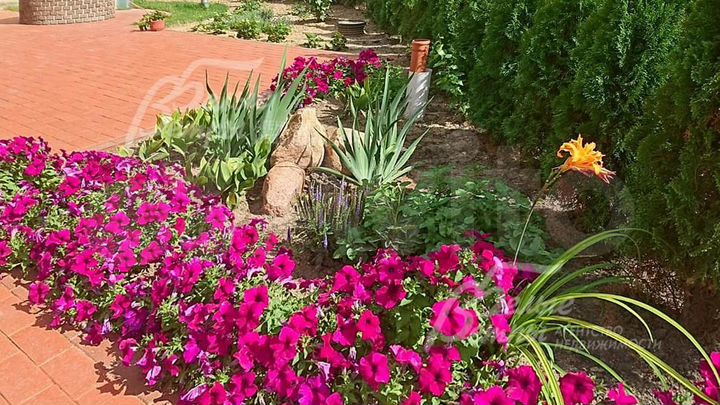 Дом 146 м² на участке 30 сот.