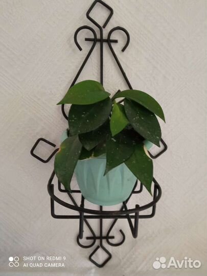 Горшки для цветов Германия и для Архидей