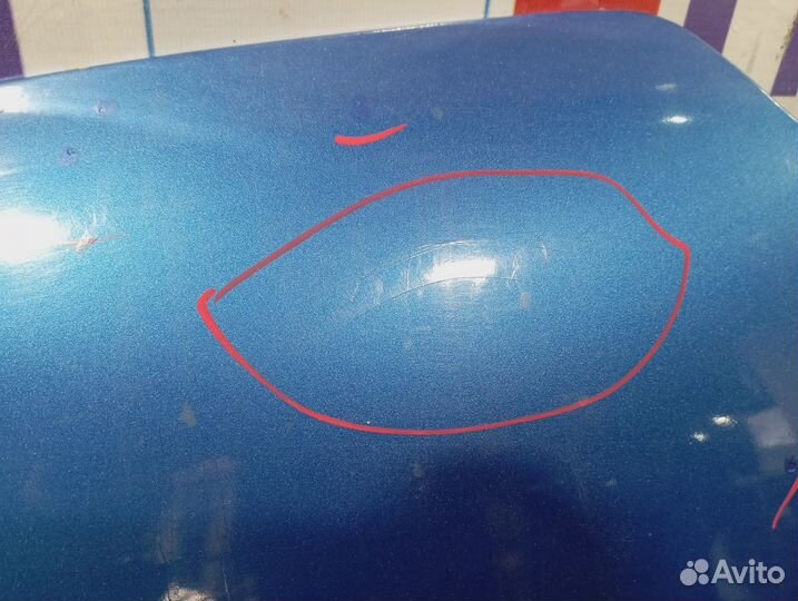 Капот Renault Logan 2 651001918R