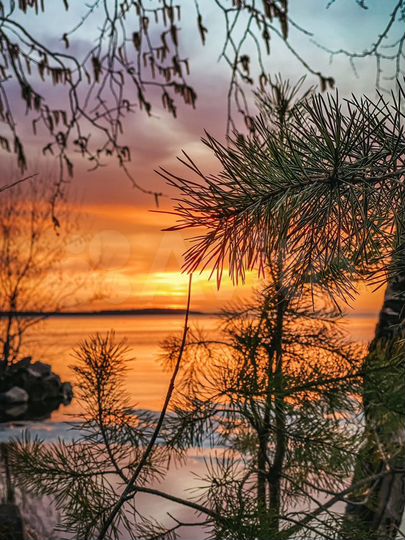 Дом 81 м² на участке 42 сот.