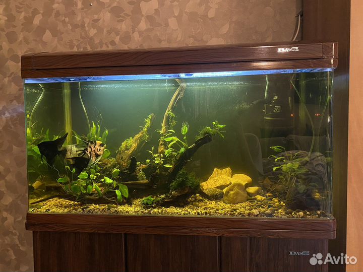 Аквариум 180л Baolong