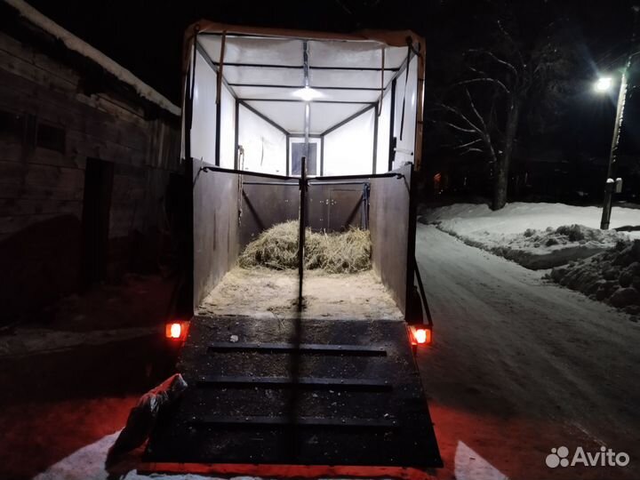 Бюджетная перевозка лошадей крс, мрс и снегоходов