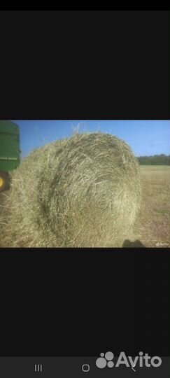 Корма для сельскохозяйственных животных