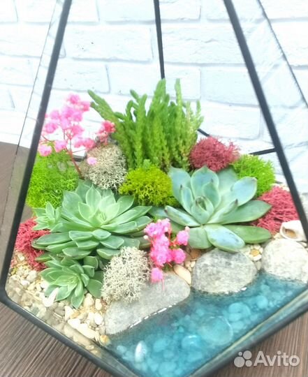 Флорариум Капля S