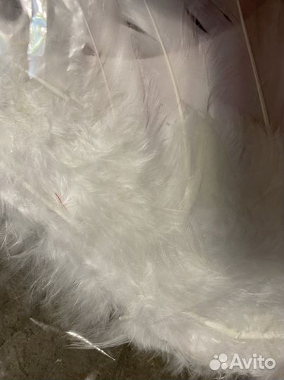 Крылья ангела белые