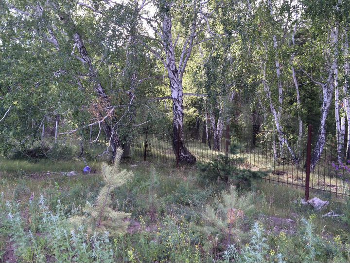 Участок 10 сот. (ИЖС)