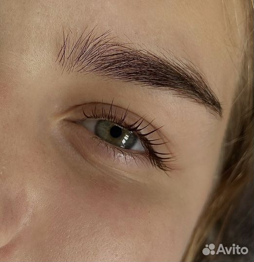 Обучение на бровиста обучение ламинирование