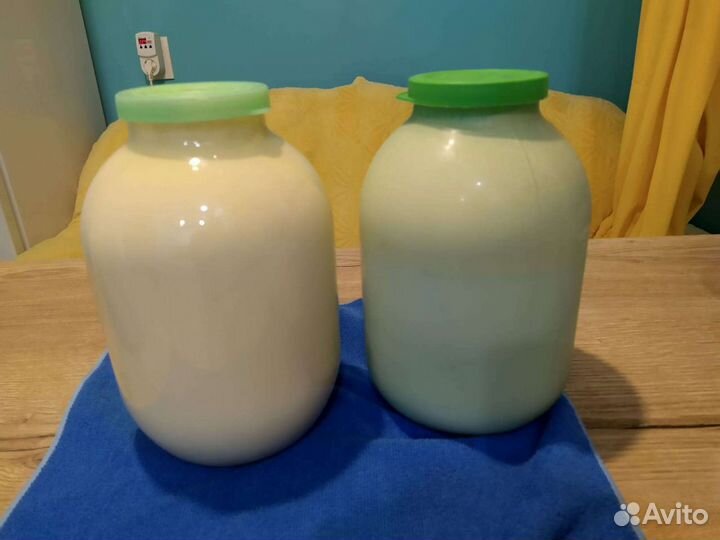 Молоко, творог, сыр адыгейский