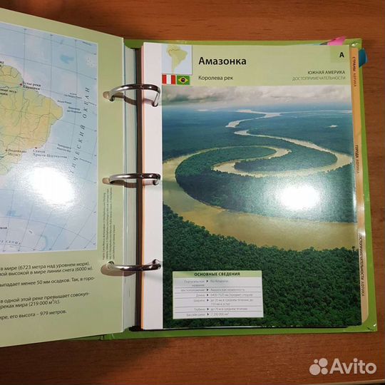 Мир на ладони