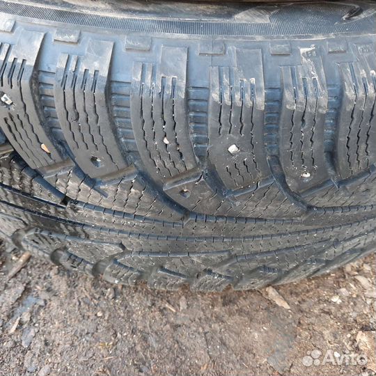 Nokian Tyres Nordman 5 SUV 235/65 R18 и 255/60 R18