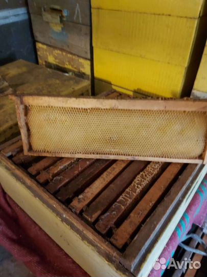 Рамки для ульев сушь