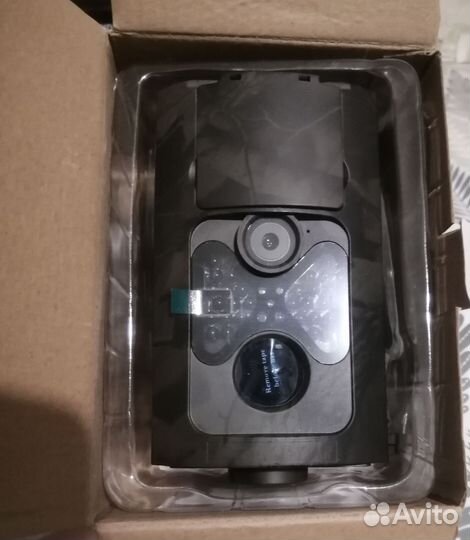 Камера ловушка