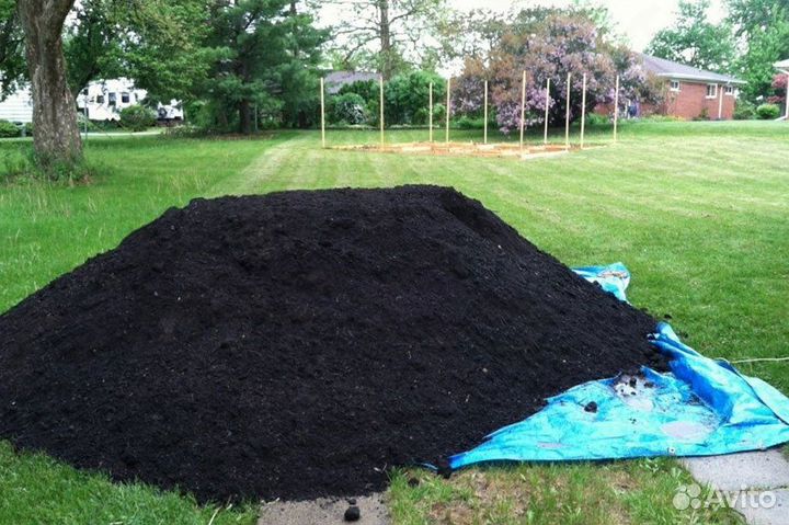 Чернозем плодородная почва