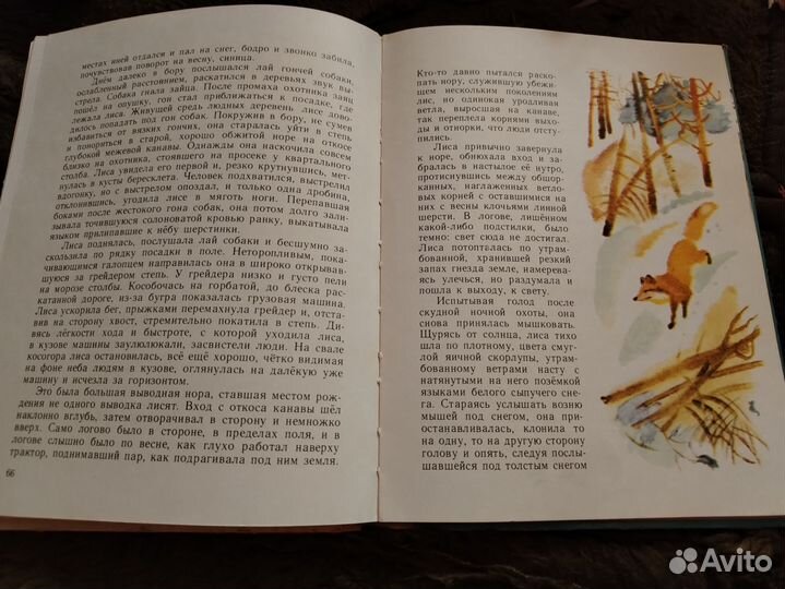 Оттаявший чиж Вадим Чернышев