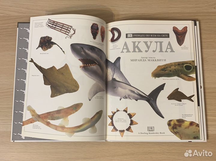 Книга ‘Акула’