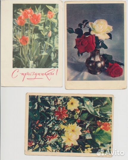Советские открытки цветы СССР