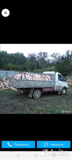 Дрова береза