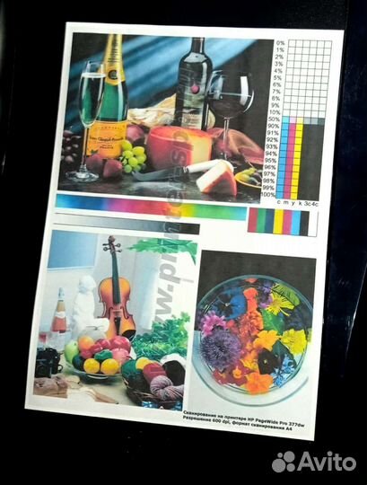 Мфу Epson Stylus Photo tx800fw